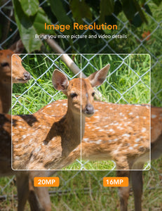 Xtellar Trail Camera